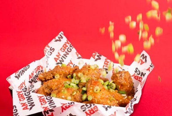 4 PIECE WINGS
