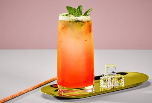 Watermelon Mojito