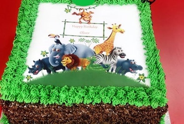 Safari Theme Birthday Cake K608