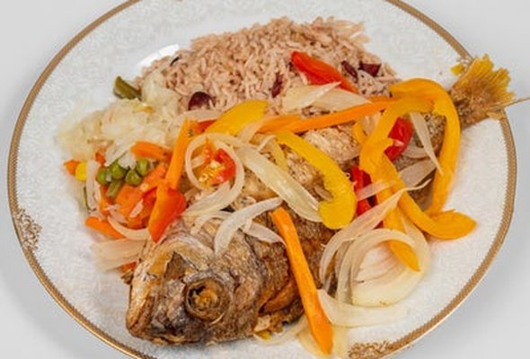 Snapper Fish