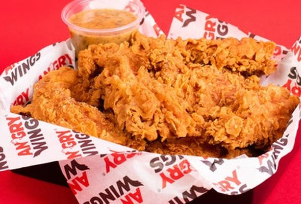 4 PIECE TENDERS