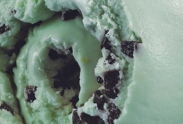 Yarde Farm - Mint Choc Chip Mini Tub