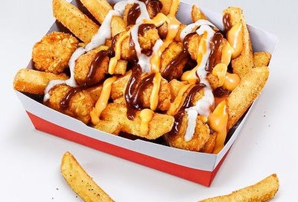 Dirty Loaded Fries