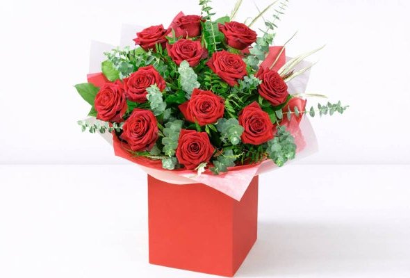 12 Luxury Naomi Valentines Roses