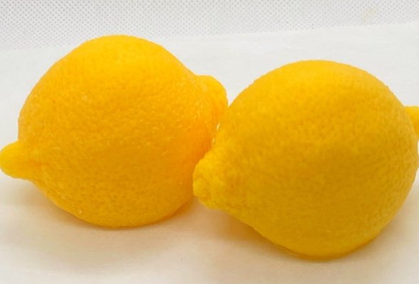 Citronella Wax Melts