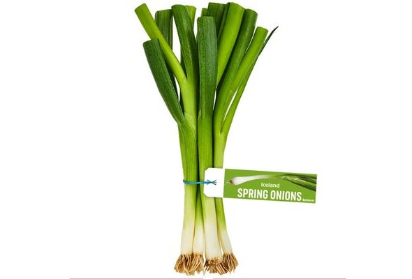 Iceland Spring Onion Bunch