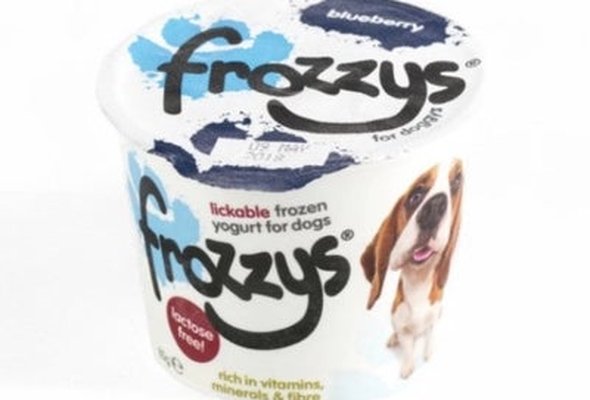 Blueberry Frozzy’s