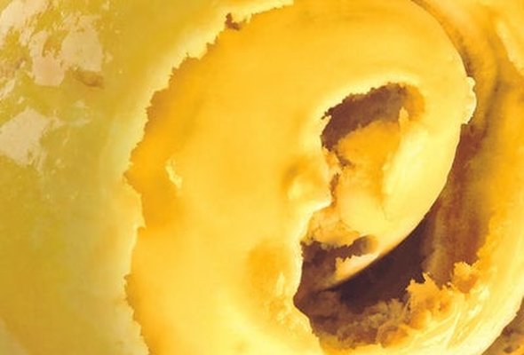 Yarde Farm - Alphonso Mango Sorbet Mini Tub