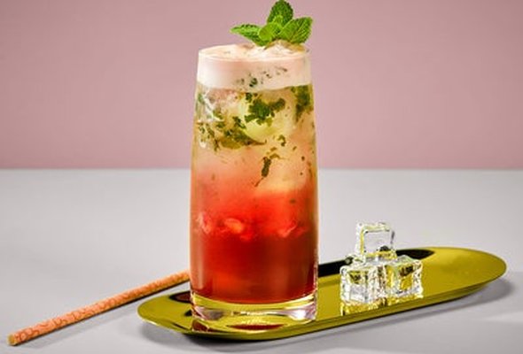 Pomegranate Mojito