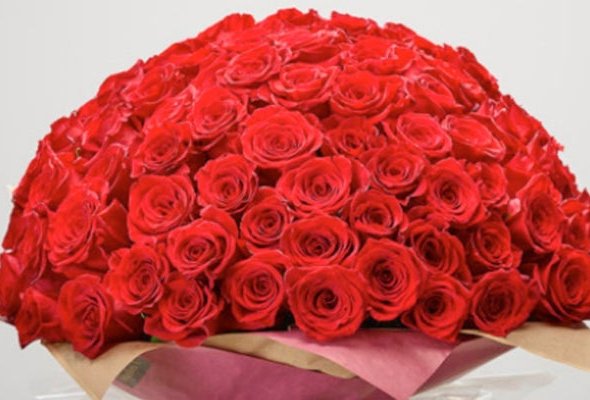 100 Red Rose Hand-Tied