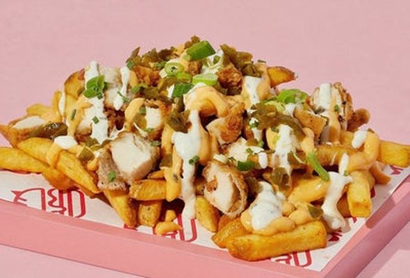 Fully Loaded Sando Fries