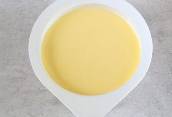 Special Garlic Dip