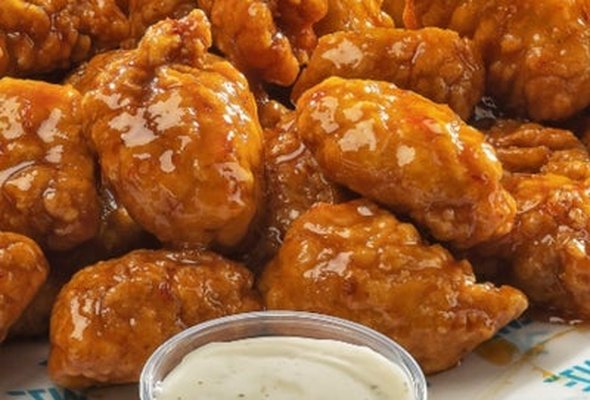 Boneless Bundle (20 Boneless + Fries + Dip)