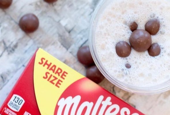 Maltese Milkshake