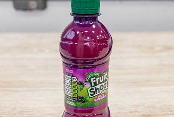 Black Currant Fruit Shoot