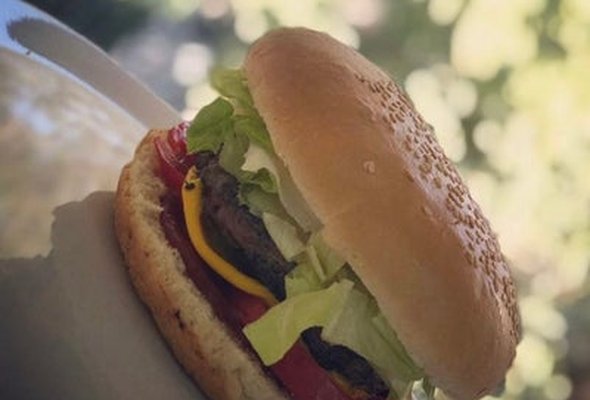 Cheese Burger Single