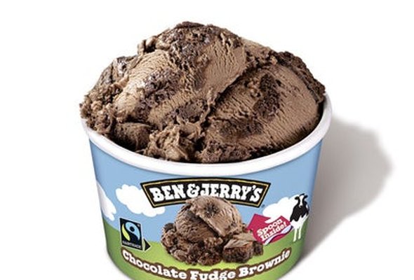 Small Ben & Jerrys Chocolate Fudge Brownie