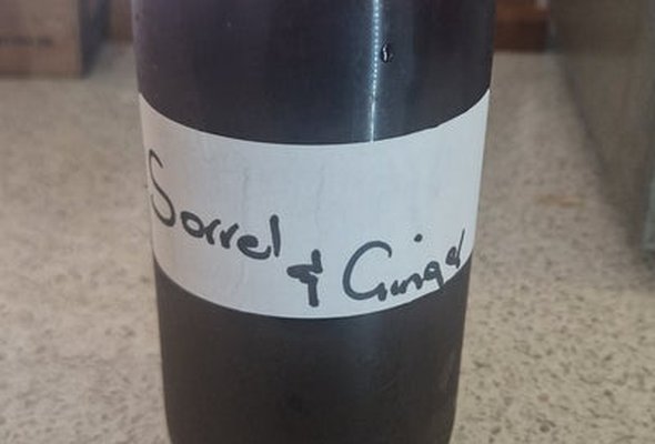 Sorrel and ginger