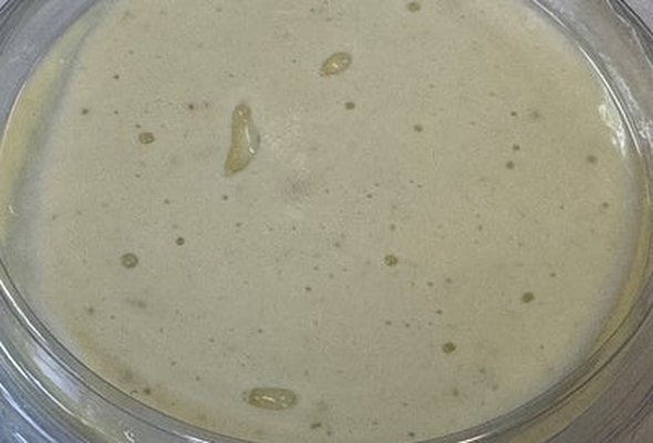 Special house sauce