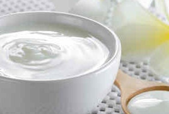 Plain Yogurt