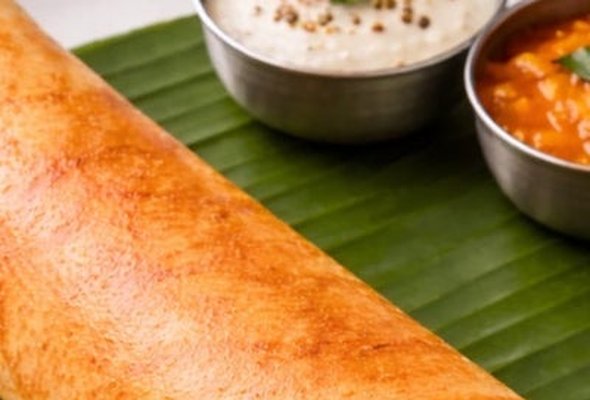 Plain dosa (2 pieces) served with sambar and coconut chutney