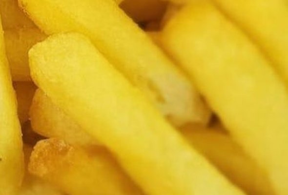fries