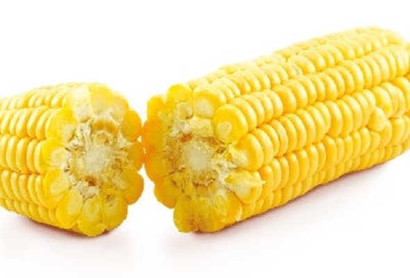 Corn On Cob