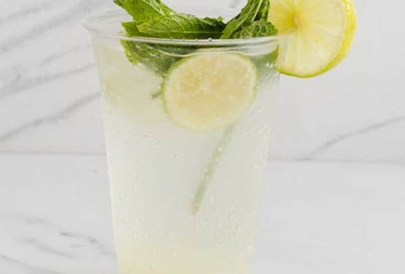 Lemon Lime Mojito
