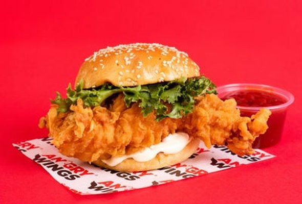KIDS CHICKEN BURGER & FRIES
