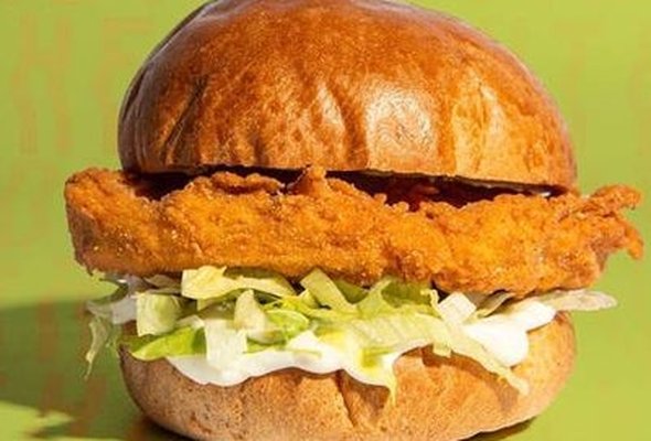 The Virdy Burger (VE)