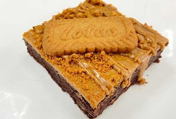 Lotus Brownie