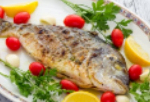 Sea Bream