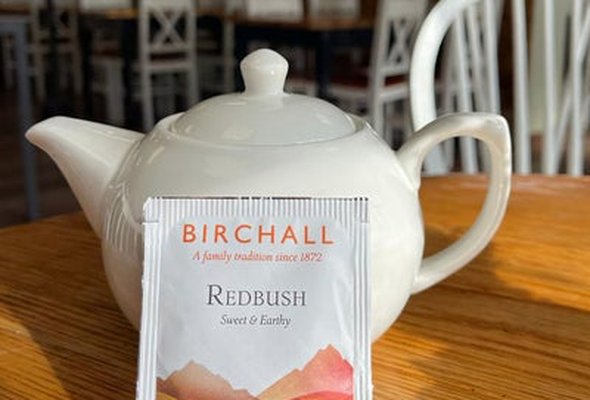Redbush