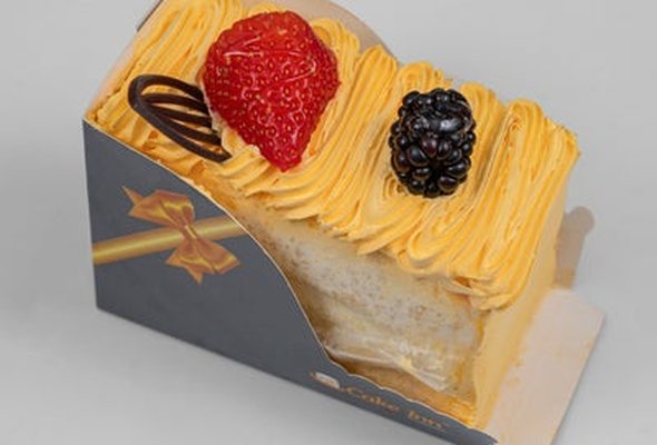 Mango slice