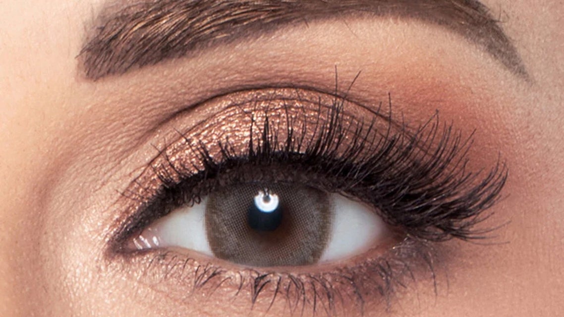 Amara Regular (2-Pack, Dark Sepia)