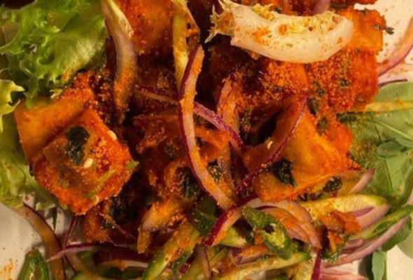 Gun Power Paneer