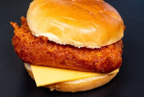 Masala Fish Burger