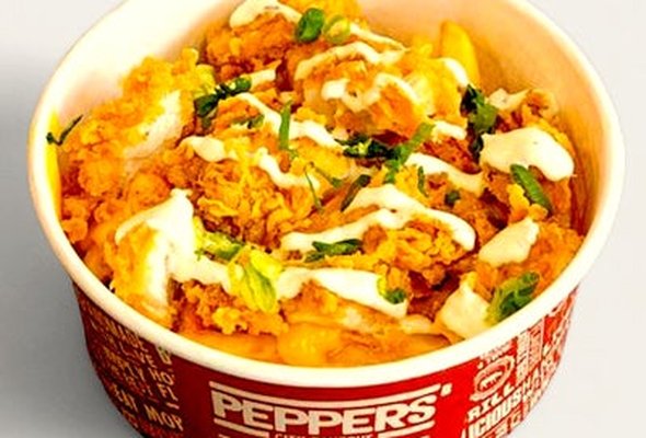 Loaded Fries