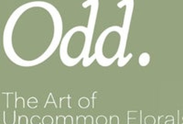 Odd Flower Shop أود فلاور شوب - Hawally North